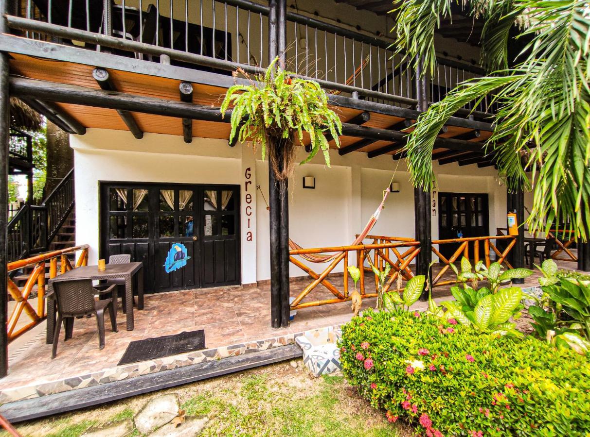 Hostel Dreamer Palomino