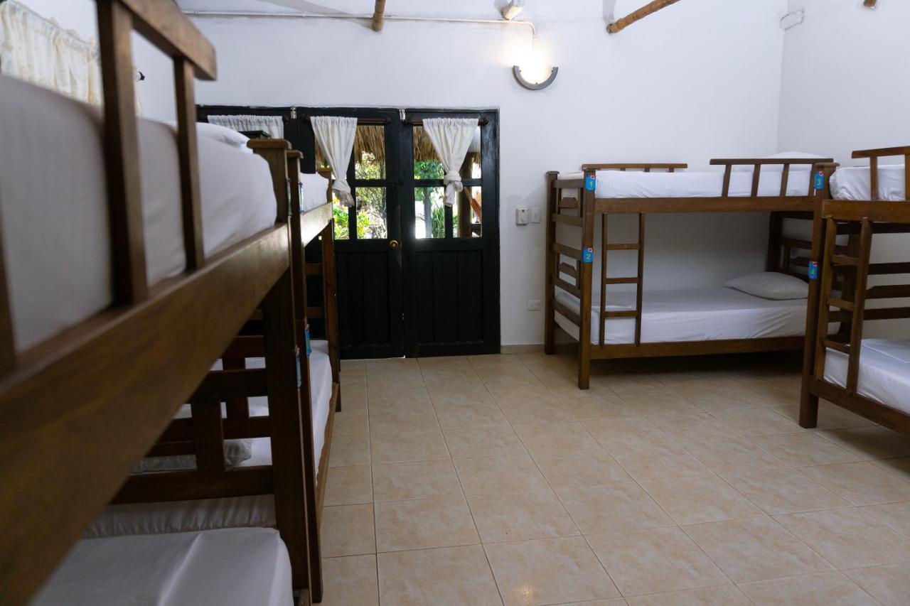 Hostel Dreamer