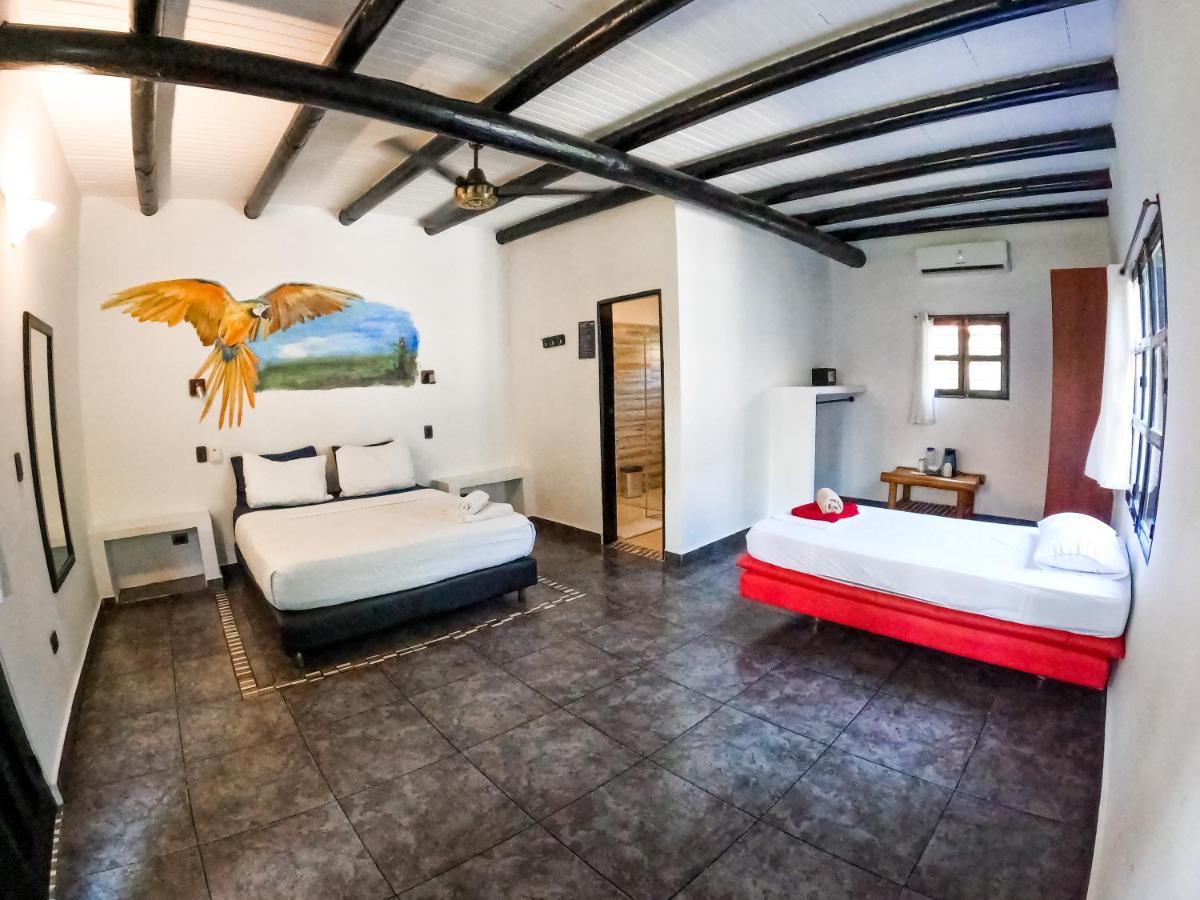 Dreamer Hostel Palomino