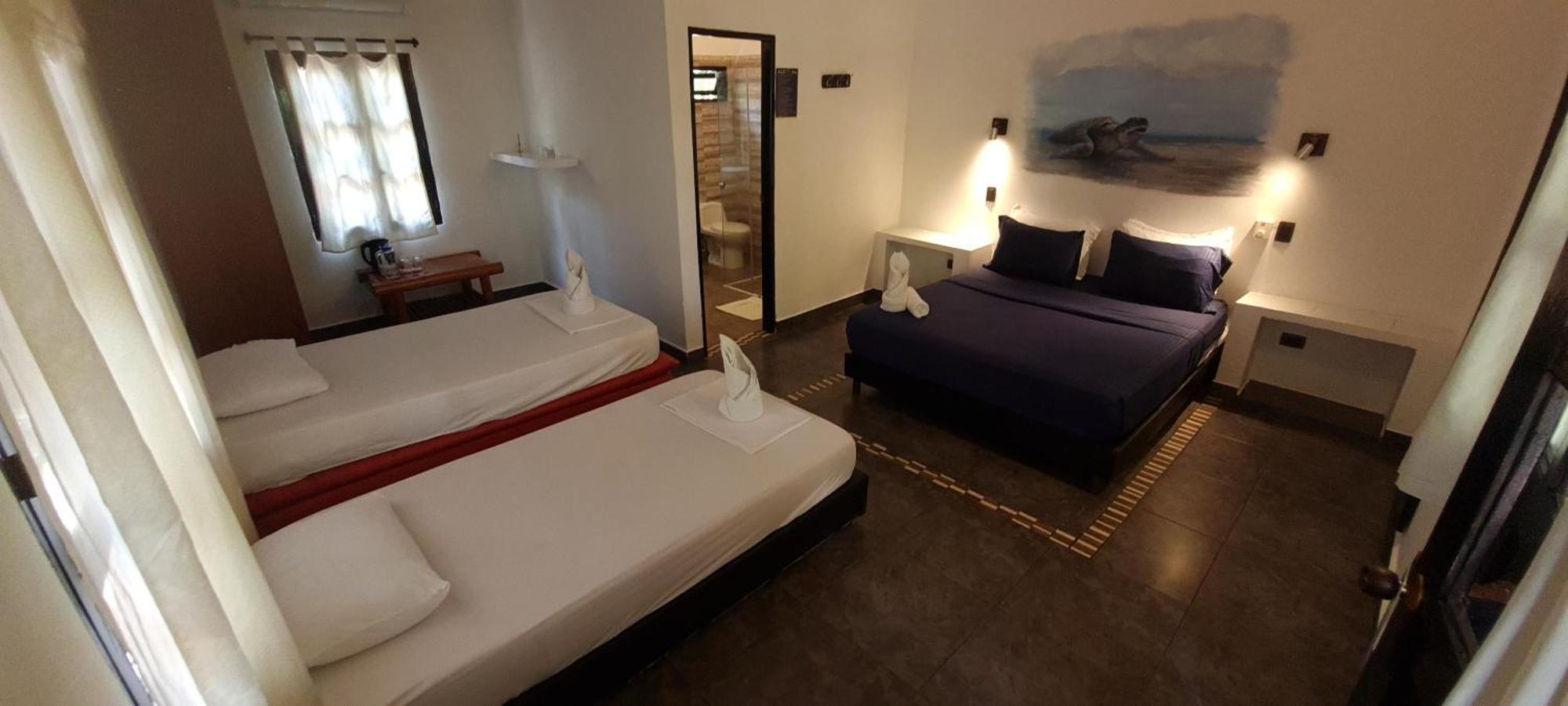 Hostel Dreamer Palomino