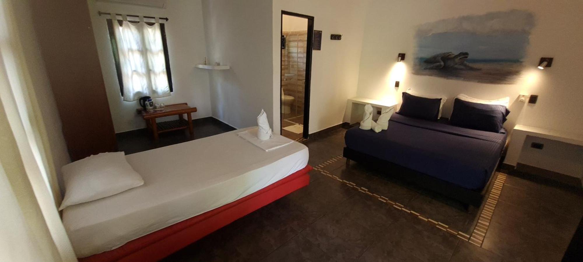 Hostel Dreamer