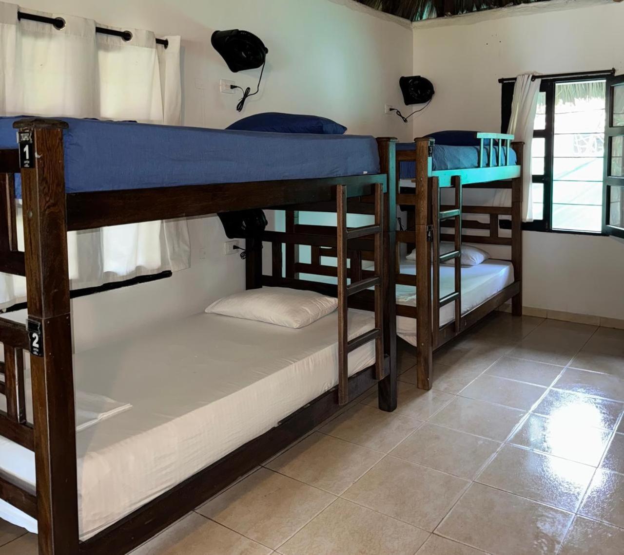 Dreamer Hostel