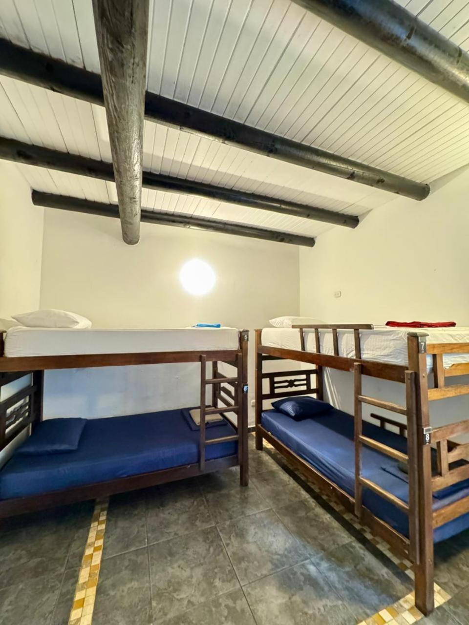 Hostel Dreamer