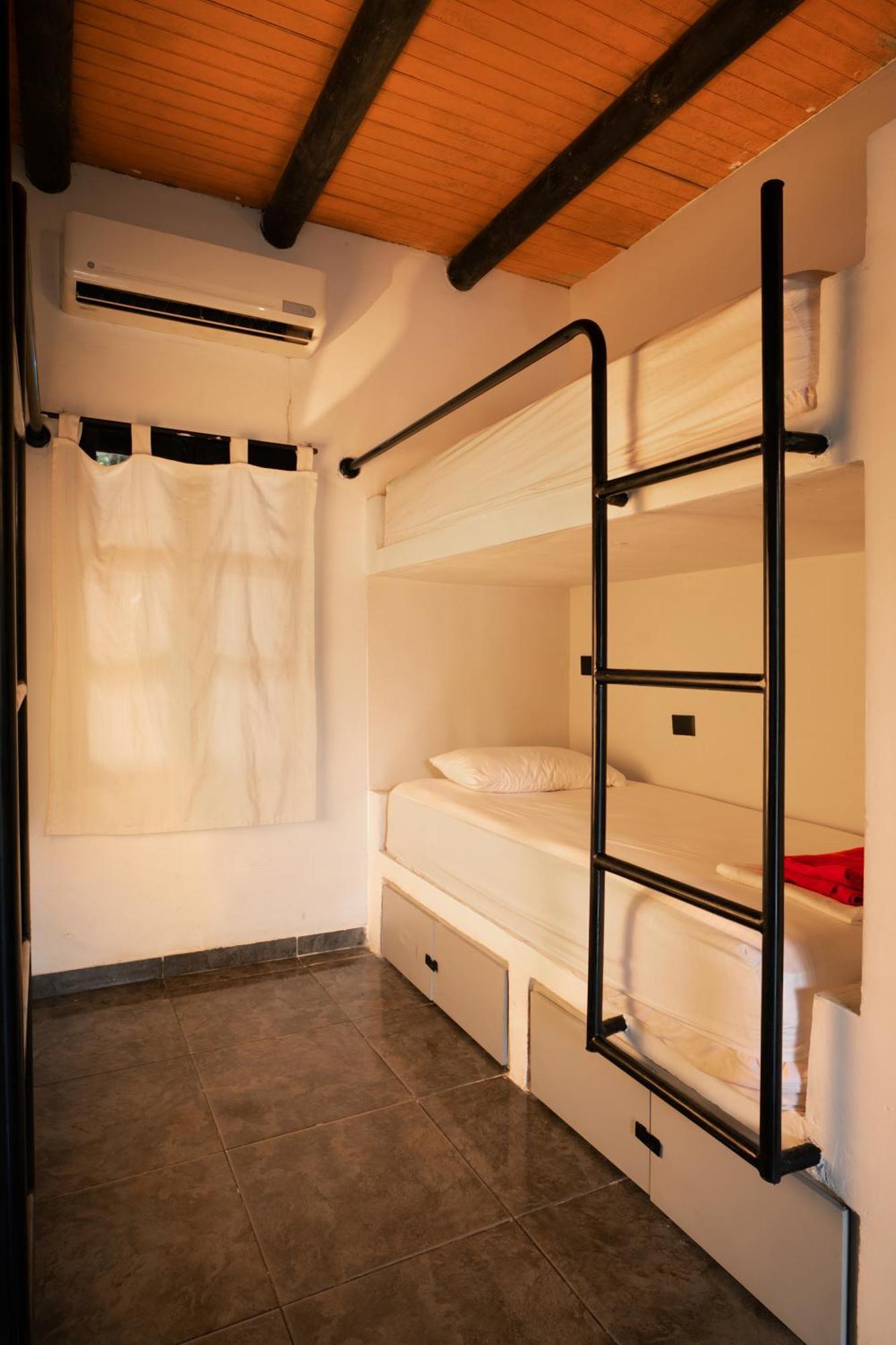 Hostel Dreamer Palomino